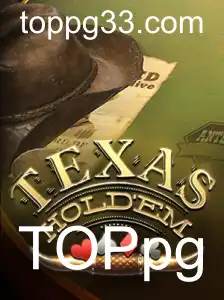 Texas Hold'em: Um Guia para Iniciantes e Entusiastas